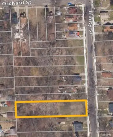 17245 TRINITY ST, Detroit, MI 48219 - #3
