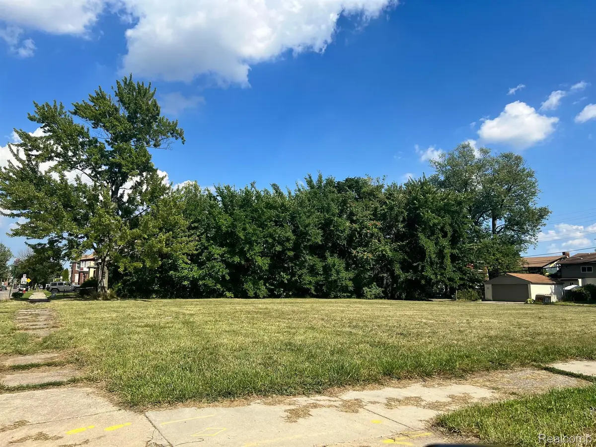 2081 VIRGINIA PARK ST, Detroit, MI 48206 - #1