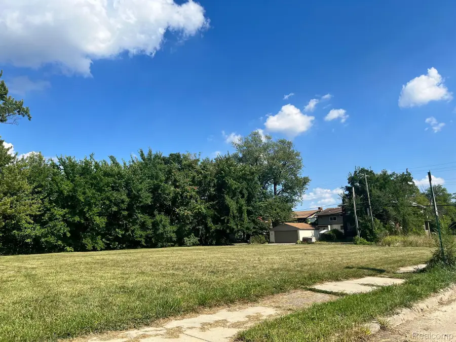 2081 VIRGINIA PARK ST, Detroit, MI 48206 - #3
