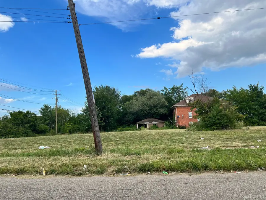 2229 W GRAND BLVD, Detroit, MI 48208 - #3