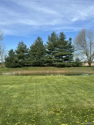 6241 Barnes Road, Burnside, MI 48416 - #2