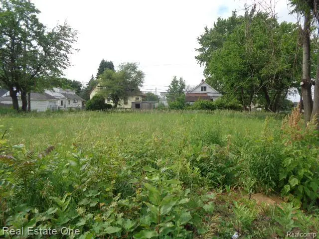 5201 CASMERE ST, Hamtramck, MI 48212 - #2