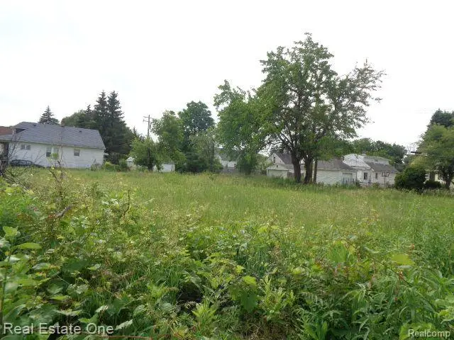 5201 CASMERE ST, Hamtramck, MI 48212 - #3