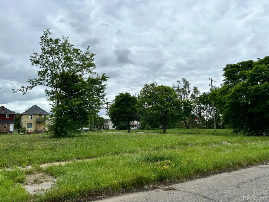6502 HARTFORD ST, Detroit, MI 48210 - #2
