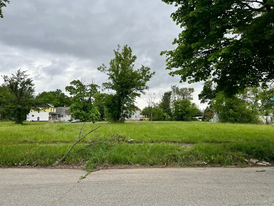 6502 HARTFORD ST, Detroit, MI 48210 - #3