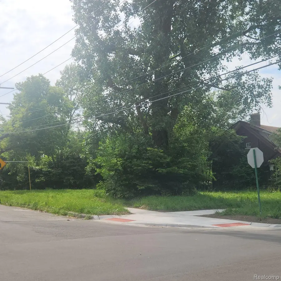 503 LAKEWOOD ST, Detroit, MI 48215 - #3