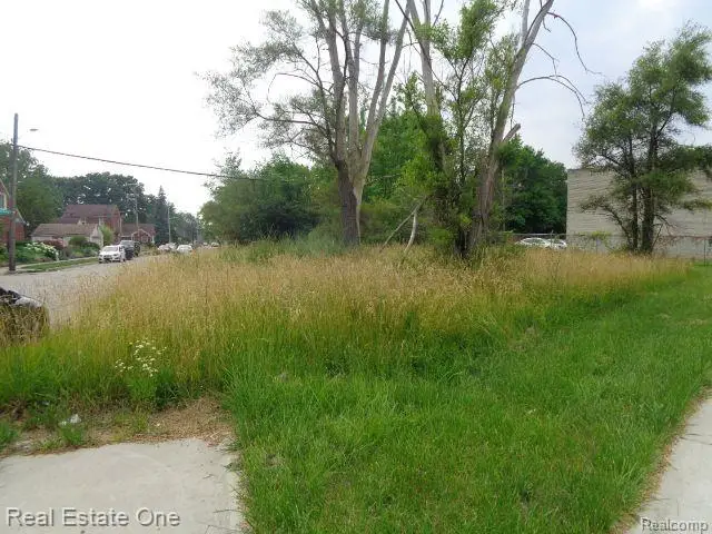 18553 JAMES COUZENS FWY, Detroit, MI 48235 - #2