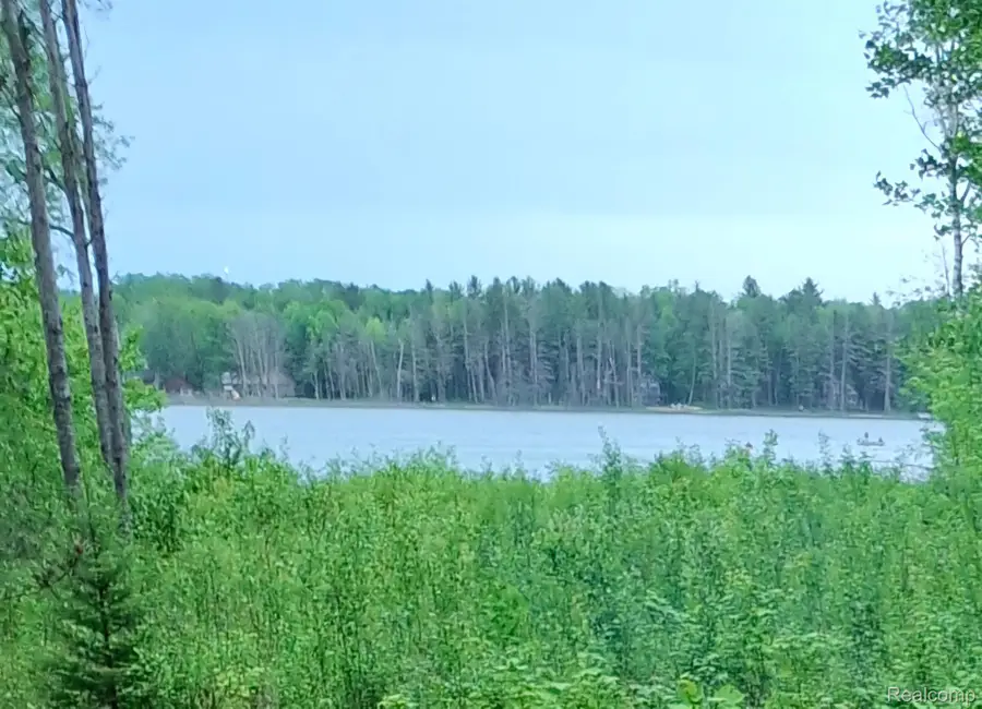 Lot 101 BREEZEWOOD DR, Mancelona, MI 49659 - #2