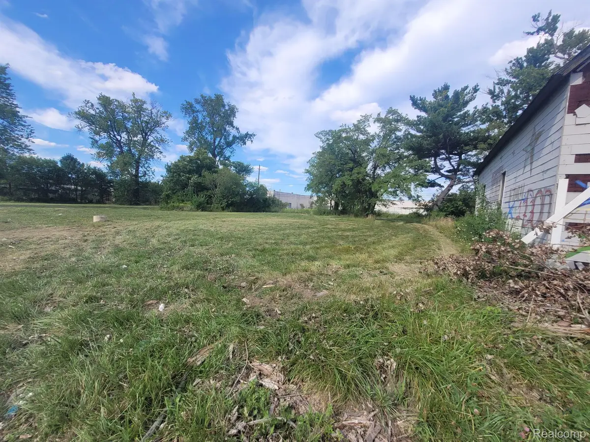3424 MOUNT ELLIOTT ST, Detroit, MI 48207 - #1