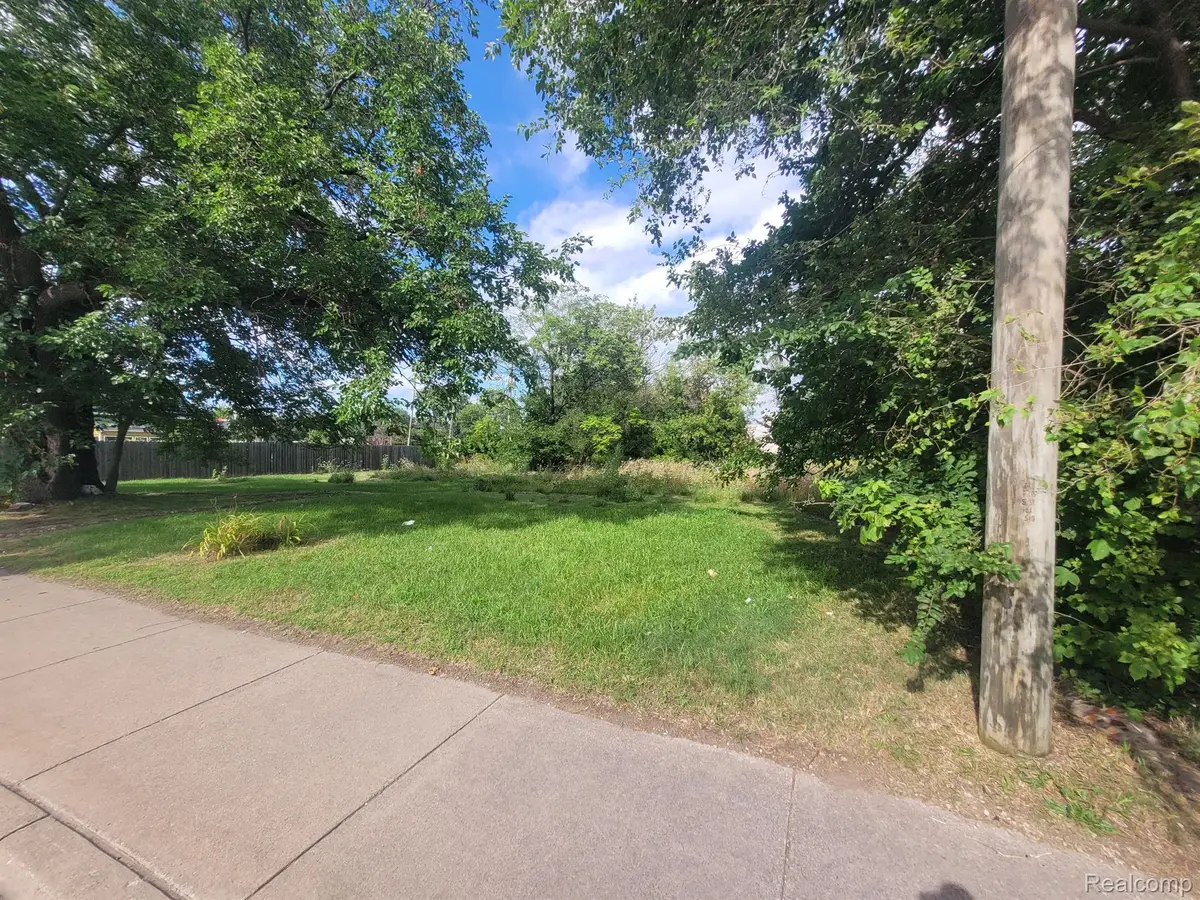 3520 MOUNT ELLIOTT ST, Detroit, MI 48207 - #1