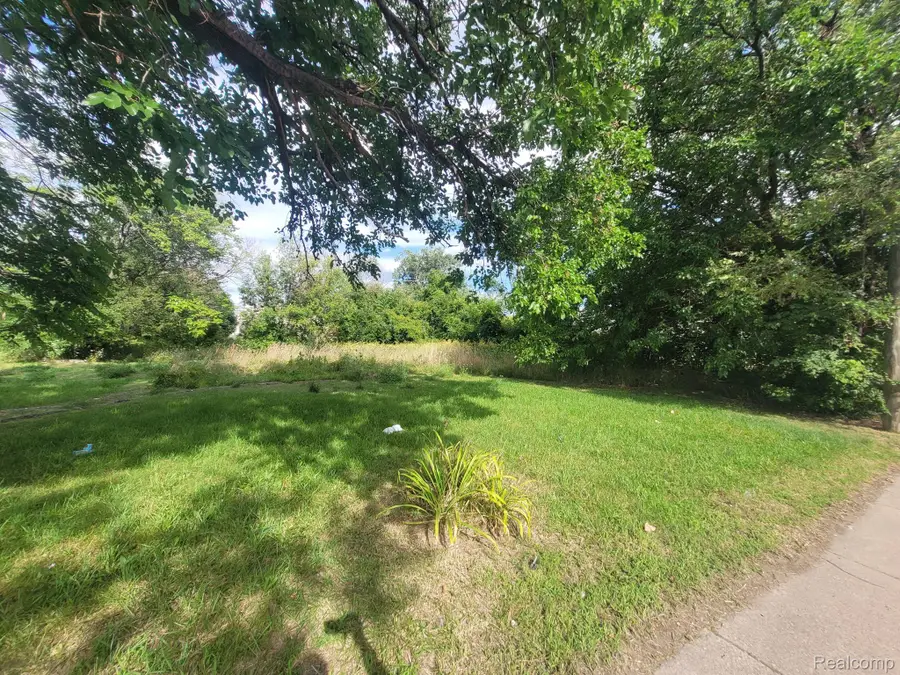 3520 MOUNT ELLIOTT ST, Detroit, MI 48207 - #3