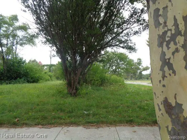 13281 GABLE ST, Hamtramck, MI 48212 - #2