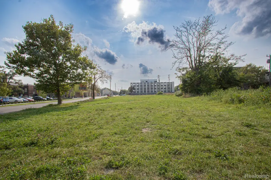 45 E EUCLID ST, Detroit, MI 48202 - #3