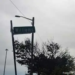3300 WILLIAMS ST, Detroit, MI 48208 - #2