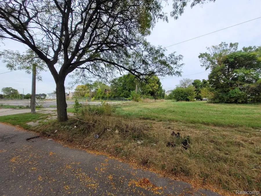620 CANTON ST, Detroit, MI 48207 - #3