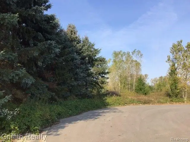 00 COUNTRY CORNER DR, Fowlerville, MI 48836 - #1
