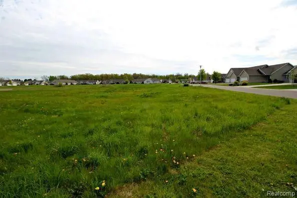 12058 INNSBRUCK, Clio, MI 48420 - #3