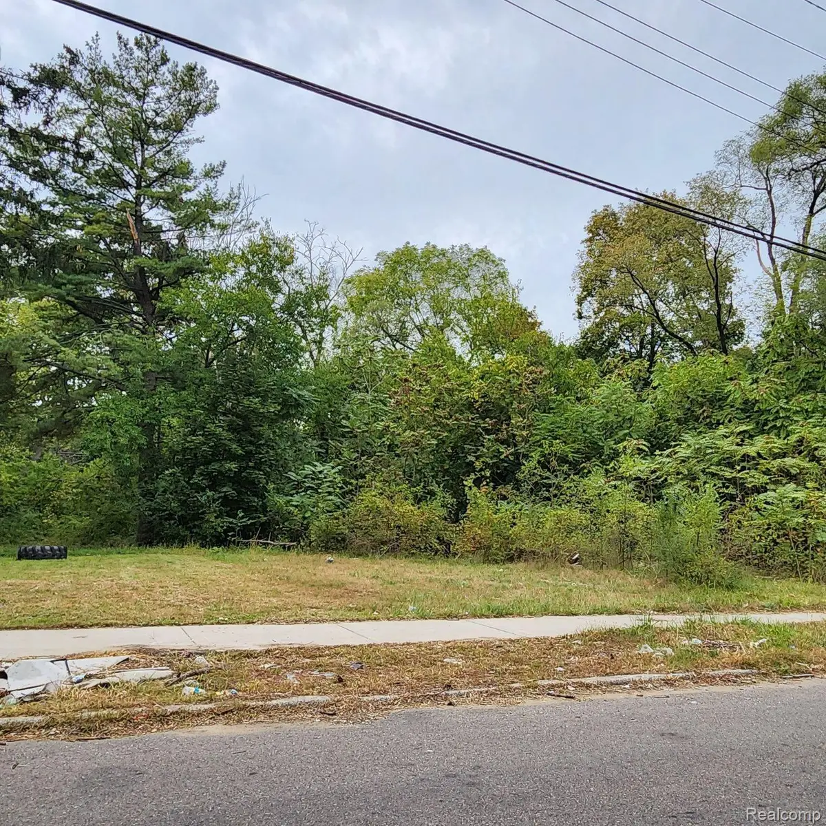 17609 TRINITY ST, Detroit, MI 48219 - #1