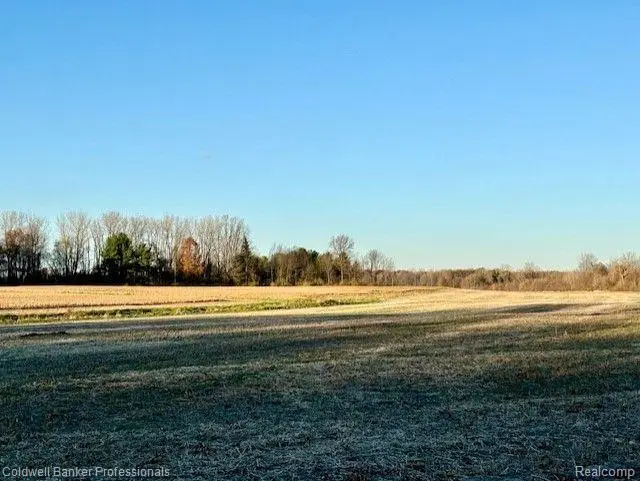 14235 WANTY RD, Milan, MI 48160 - #3