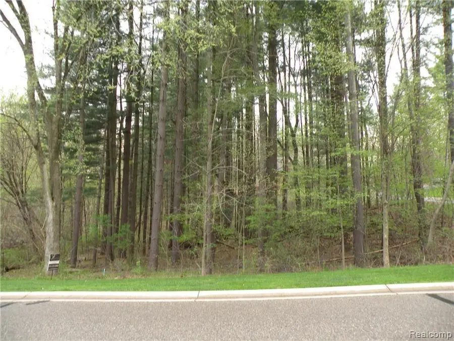 Lot 33 ALTA VISTA DR, Pinckney, MI 48169 - #2