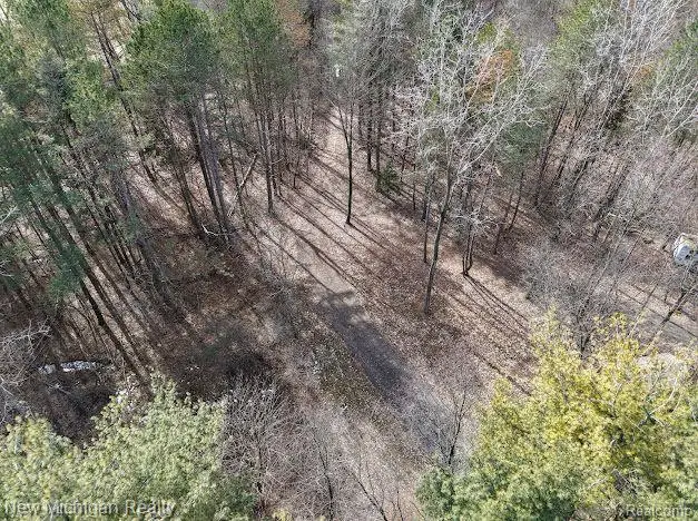 11461 WHITE LAKE RD, Fenton, MI 48430 - #3