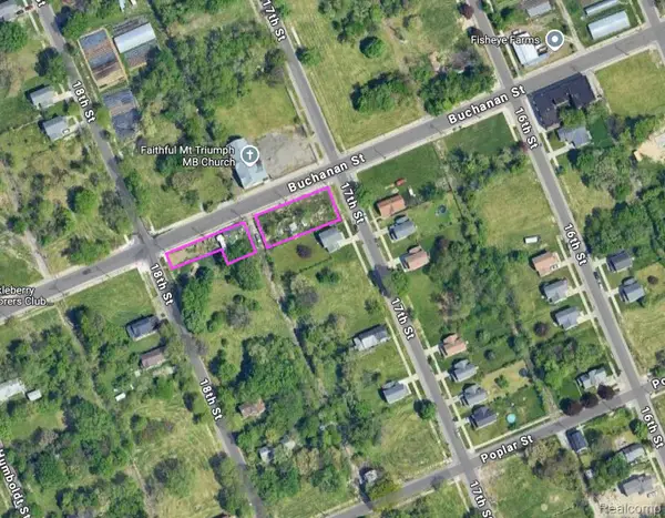 2507 BUCHANAN ST, Detroit, MI 48208