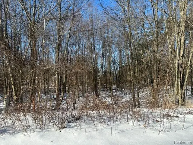 Lot 21 Forest Gate, Grand Blanc, MI 48439 - #3