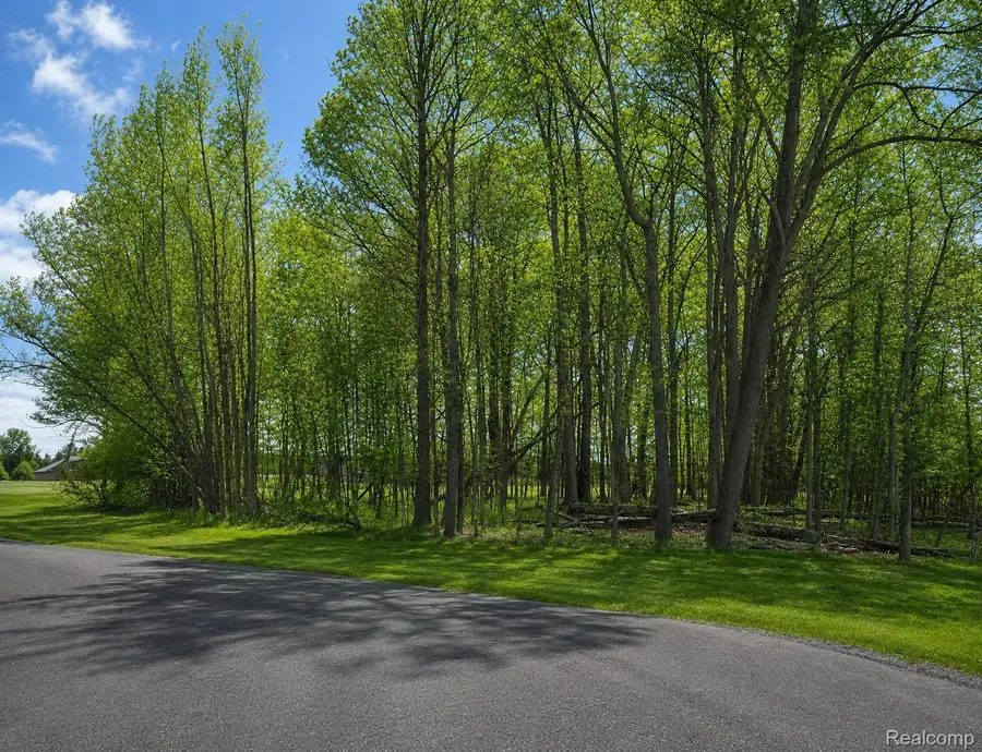 4171 BELLE RIDGE DR, Dryden, MI 48428 - #3