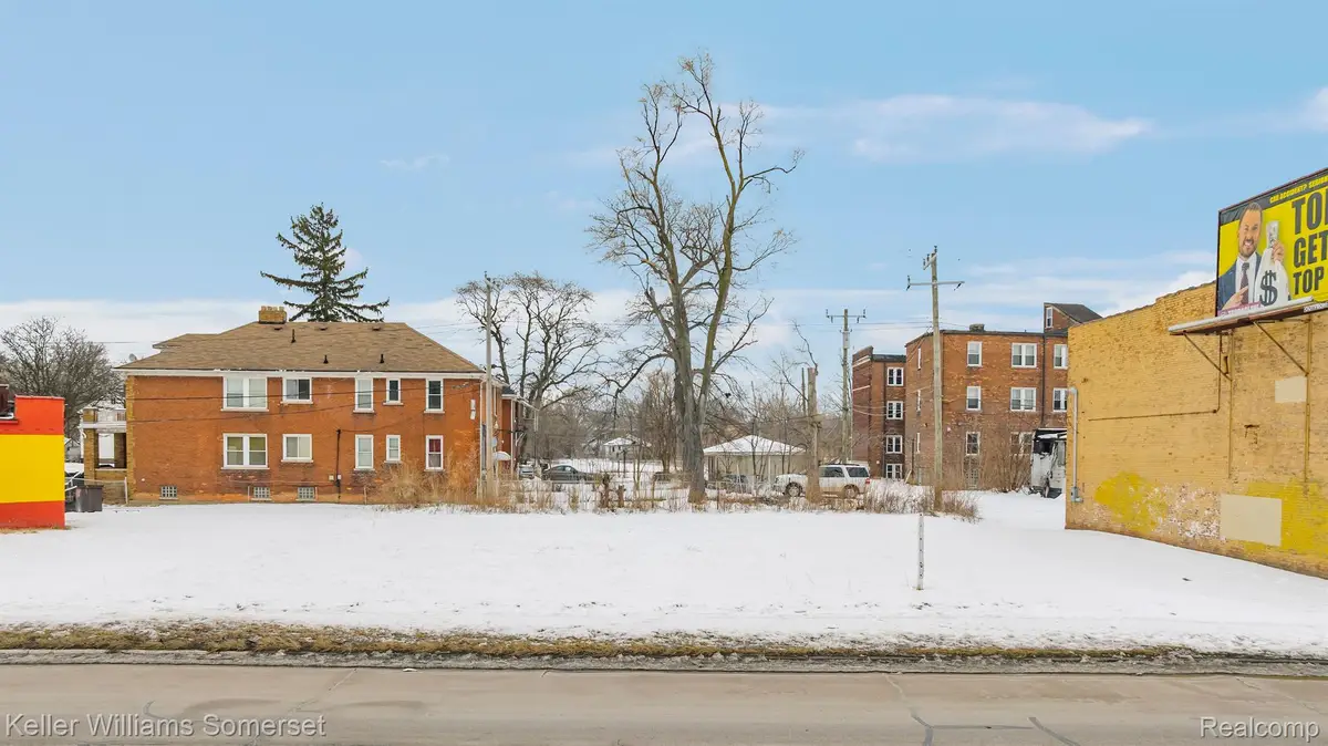 11618 LIVERNOIS AVE, Detroit, MI 48204 - #1