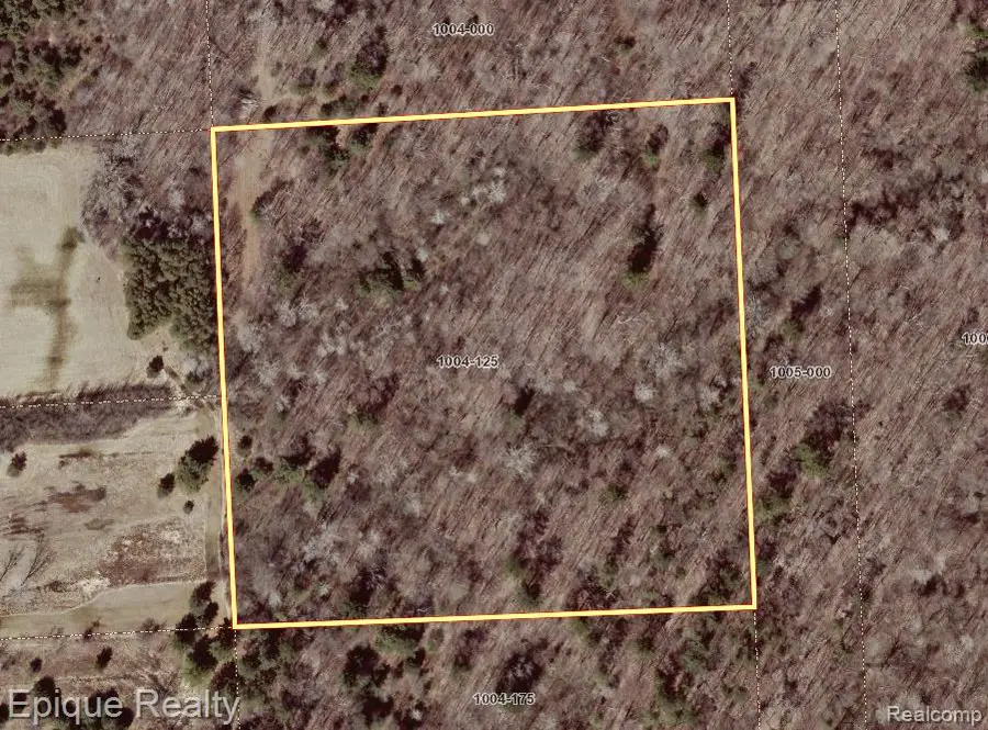 0000 Ravenswood, Kimball, MI 48074 - #3