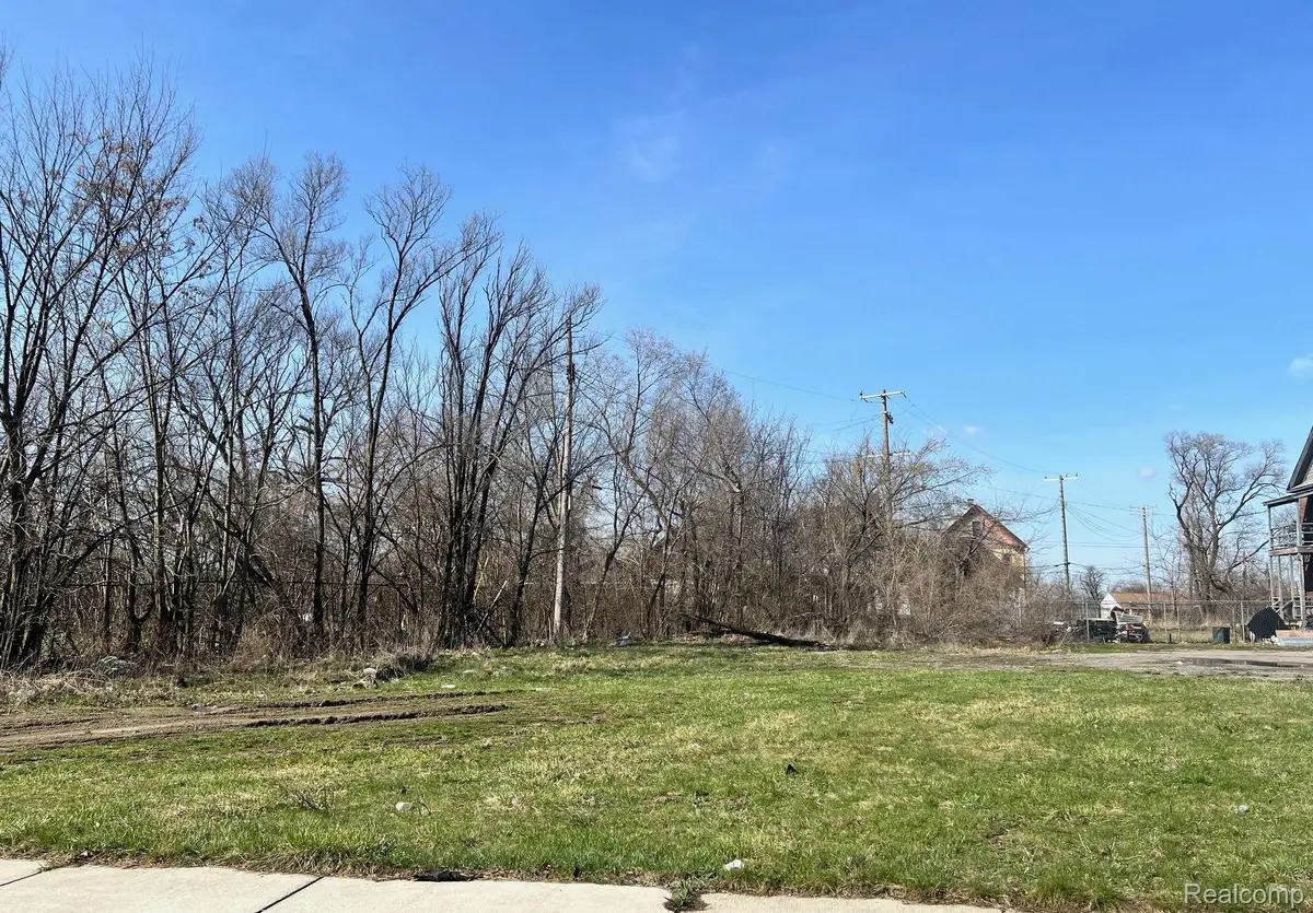 5131 BANGOR ST, Detroit, MI 48210 - #1