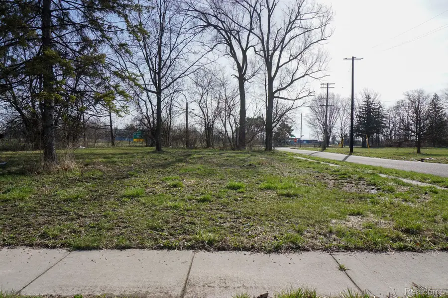 13500 PATTON ST, Detroit, MI 48223 - #2
