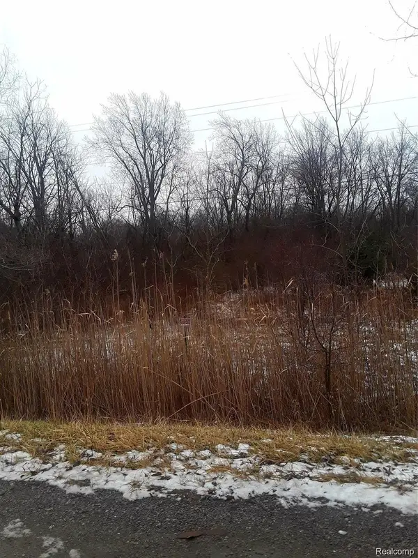 00 E Maple AVE, Flint, MI 48507