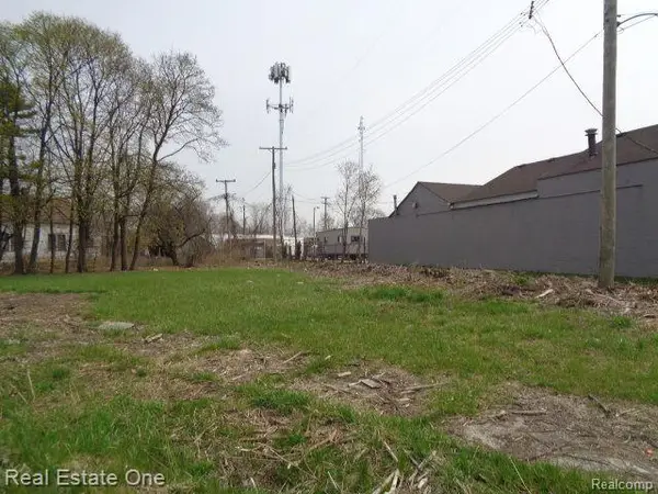 11632 SAINT LOUIS ST, Hamtramck, MI 48212