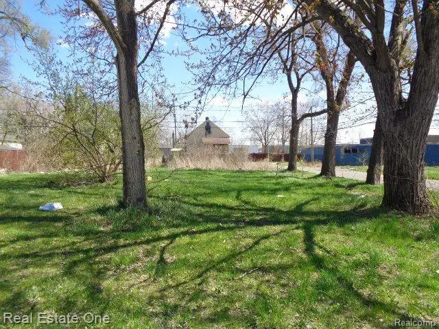 11808 SAINT LOUIS ST, Hamtramck, MI 48212 - #3