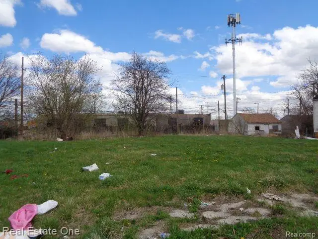 11670 SAINT LOUIS ST, Hamtramck, MI 48212 - #2