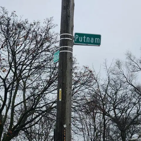 2125 PUTNAM ST, Detroit, MI 48208 - #2