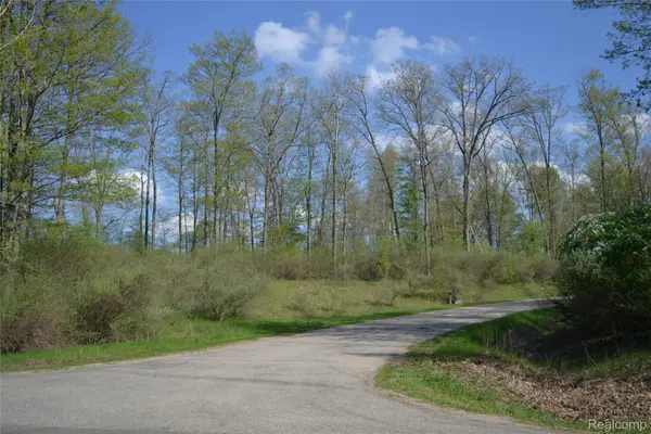 00 Oak Ridge CRT, Mills, MI 48756
