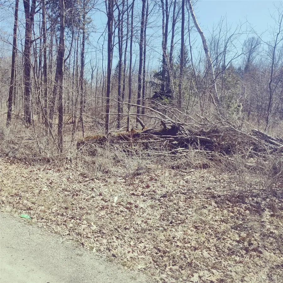 0 Schott Road, Sand Beach, MI 48441 - #3