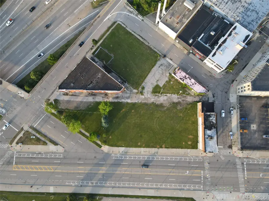2410 4th Street, Detroit, MI 48201 - #3