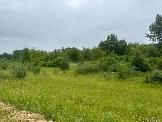 10.63(+/-) Acres Lapeer Road, Davison, MI 48423 - #1