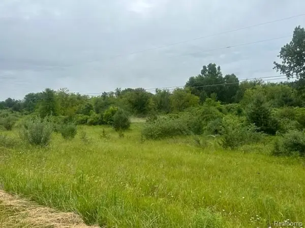 10.63(+/-) Acres Lapeer Road, Davison, MI 48423