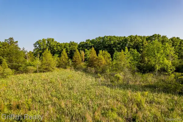 4433 Brighton Parcel B Road, Howell, MI 48843