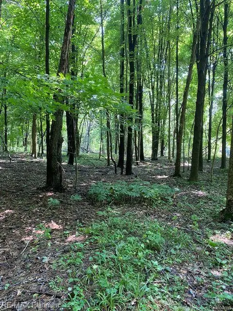 2 Sleaford-parcel 2-3.2 Acres Road N, Howell, MI 48843 - #3