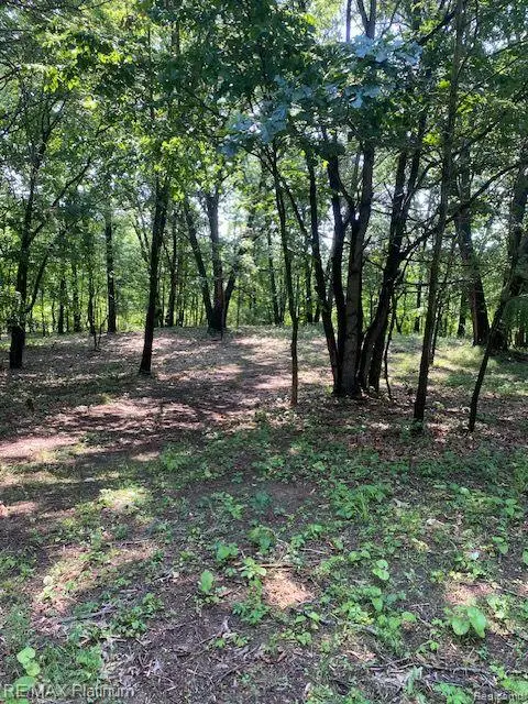 3 Sleaford-parcel 3-3.17 Acres Road, Howell, MI 48843
