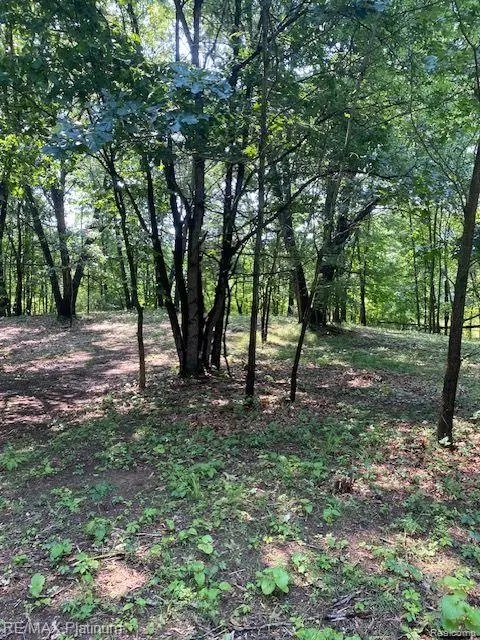 3 Sleaford-parcel 3-3.17 Acres Road, Howell, MI 48843 - #2