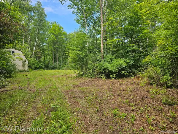 00 Ravenswood Road, Ira, MI 48074