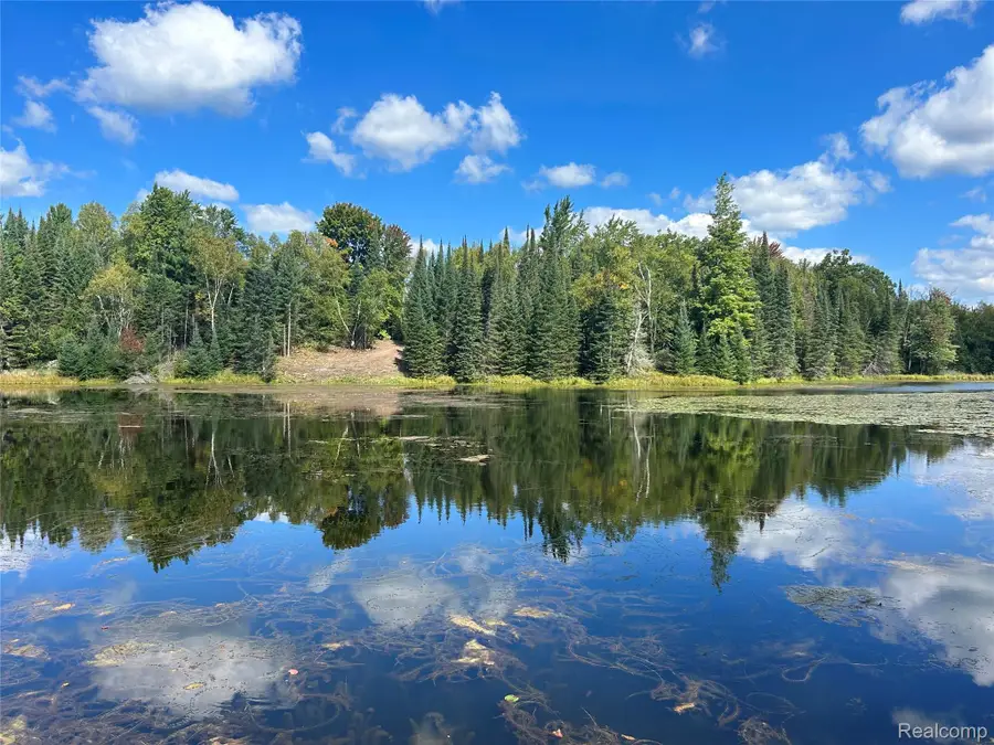4178 E North Rose Circle, Lupton, MI 48635 - #3