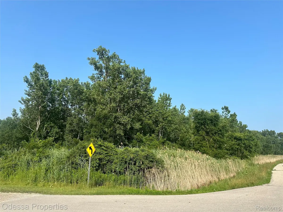 000 Farwell Street, Chesterfield, MI 48047 - #1