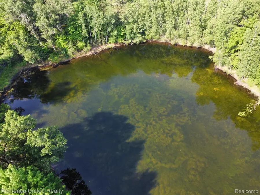 VL Pondside Drive Lot 20, Farwell, MI 48622 - #3